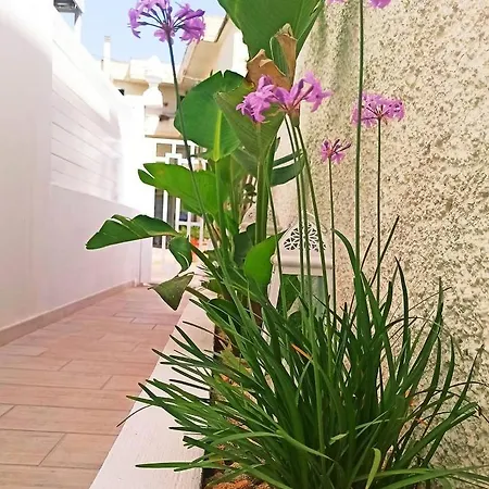 Via Del Mare Bed & Breakfast 3*