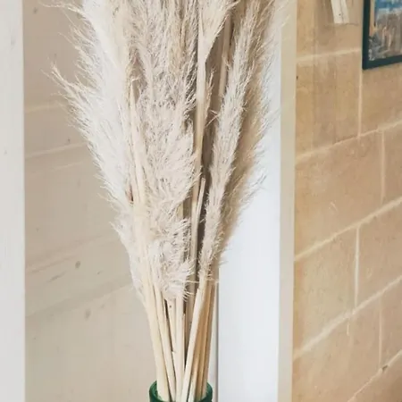 Via Del Mare 4* פרזיצ'ה